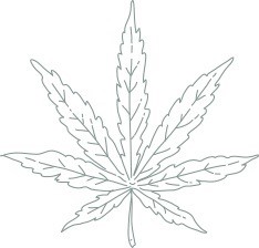 Sweet Drop CBD lūpų balzamas su 60 mg CBD, 6 g